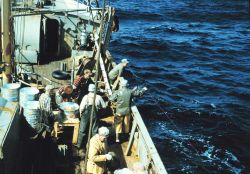 A tuna longlining operation Image