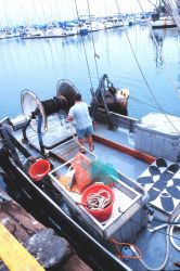 Washing down the decks - a mariner's work is never done Image