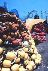 Mountains of nets, chain, and line - some of the working gear of commercial tuna boats Image