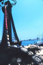 Mountains of nets, chain, and line - some of the working gear of commercial tuna boats Image