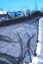 Crew readying netting for next trip Image