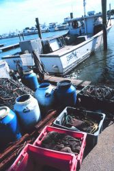 Paraphernalia of the commercial lobstermen operating out of Indian River Image