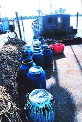 Paraphernalia of the commercial lobstermen operating out of Indian River Image