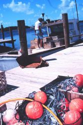 Pots, floats, lines, and boats - the tools of the stone crab fishermen Image