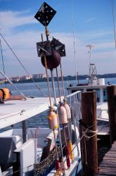Equipment used by a shark-grouper- snapper fisherman Image