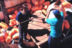 Preparing longlines prior to heading for the fishing grounds Image