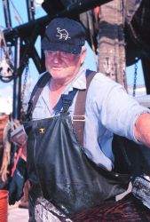 Captain of the F/V ATLANTIC TRAVELLER offloading squid at Co-op Seafood Market dock. Image