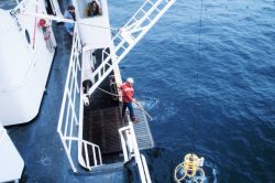 CTD rosette being deployed to study water temperature, salinity, and chemical characteristics Image