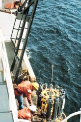 CTD rosette sampler being readied for deployment off the NOAA Ship MILLER FREEMAN. Image
