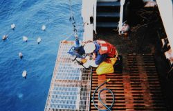 Preparing spring-loaded bottom sampler to determine sediment characteristics. Image