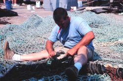 Mending fish nets at the Co-op Seafood dock Image