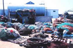 Piles of fishnets, floats, and other gear at the Co-op Seafood dock Image