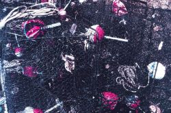 A mass of nets and floats Image