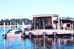 Blue crab dockside work facility Image