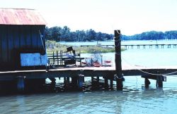 A rustic crab dock at Mills Marina Image