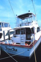 A recreational fishing boat at the Mystic River Marina Image