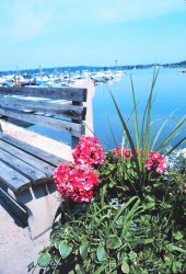 A view of part of the recreational fishing fleet from a waterside walk Image