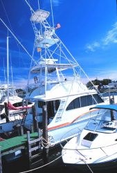 A sport-fishing boat tied up in Lewes Image