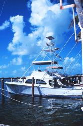 A trim recreational fishing craft tied up at Bud N' Mary's Marina Image