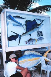 A fish species sampler display adds to the atmosphere of Islamorada Image