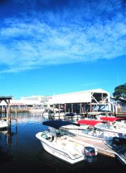 PORT-O-CALL Marina is home to recreational fishing boats Image