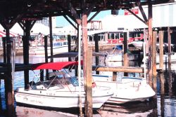 PORT-O-CALL Marina is home to recreational fishing boats Image