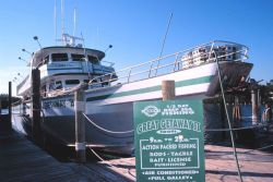 Party boats go out for a 1/2 day of fishing from the Getaway Marina Image