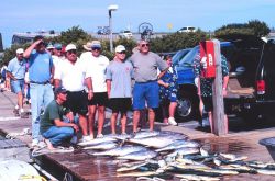 A charter boat unloads a catch of yellowfin tuna and dolphinfish Image