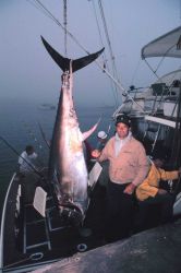 A proud fisherman with his catch at the United States Atlantic Tuna Tournament Image