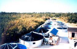 Aerial view of mutton snapper nursery/hatchery complex Image