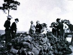 A sponge auction at Anclote Image