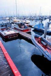 A crowded West Coast sportfishing and commercial fishing harbor Image