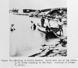 Spencer Fullerton Baird and George Brown Goode seining in Little Harbor Image