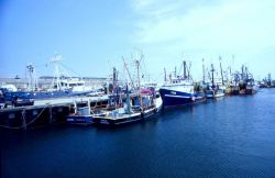 As in ports everywhere, most of the New Bedford fleet operates under moratoriums against new vessels Image