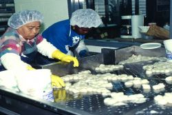 Workers sort scallops by size at a waterside processing plant in Seaford, Virginia. Image