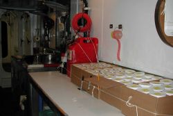 Plankton samples for microscopic study Image