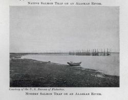 Modern salmon trap on an Alaskan River Image