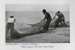 What shall we get this time? Photo -1 Image