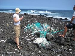 Inspecting an abandoned and lost net on the beach. Image