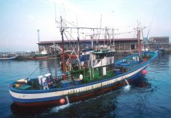 Pole and line tuna fishing boat from Fuenterrabia, Northern Spain. Image