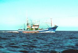 Pole and line tuna fishing boat from Fuenterrabia, Northern Spain. Image