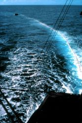 Workboat holding net prior to ship encircling school of tuna. Image