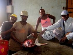 Sao Tomean's posing with shark Image