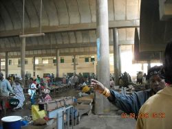 Interior of the Central Fish Market at Dakar. Image