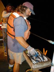 Longline fishing research on the NOAA Ship OSCAR ELTON SETTE Image