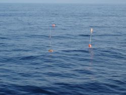 Longline fishing research on the NOAA Ship OSCAR ELTON SETTE Image