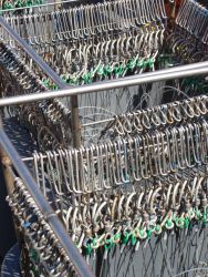 Longline fishing research on the NOAA Ship OSCAR ELTON SETTE Image