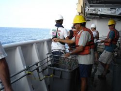 Longline fishing research on the NOAA Ship OSCAR ELTON SETTE Image
