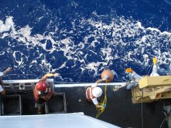 Longline fishing research on the NOAA Ship OSCAR ELTON SETTE Image