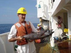 Longline fishing research on the NOAA Ship OSCAR ELTON SETTE Image